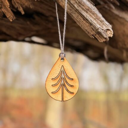 car fragrance hanging outdoors