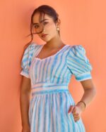 Jodhpur Stripe Katie Dress - Image 6