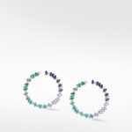 Rainbow Veto Aqua Hoops