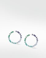 Rainbow Veto Aqua Hoops