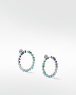 Rainbow Veto Aqua Hoops - Image 5