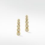 Shimmer Graudated  Earrings