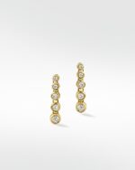 Shimmer Graudated  Earrings