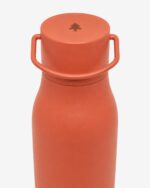 Circus Bottle Koi - Image 2